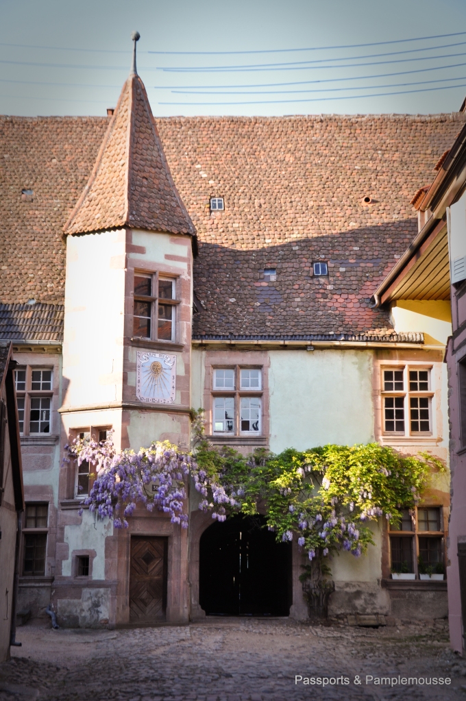 Riquewihr & Beyond (Alsace) Passports and Pamplemousse